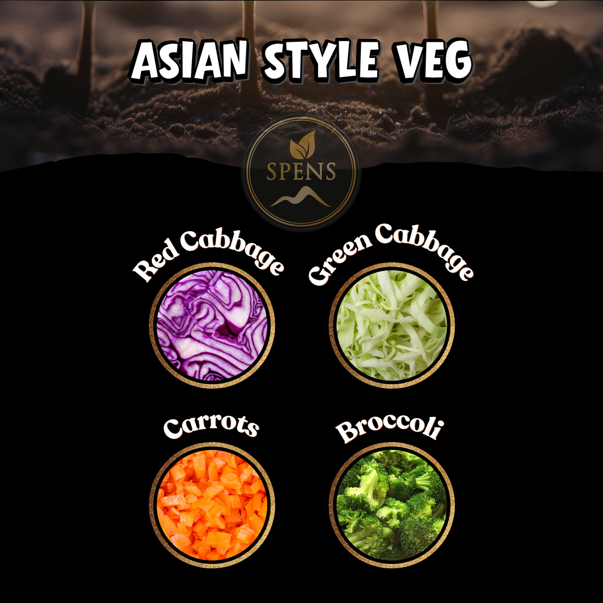 Asian Style Veg